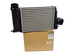Laderluftkühler Renault 144614EA1B Neues Original