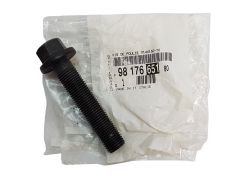 Schraube Citroen Peugeot 9817665180 Neues Original