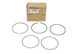 Ring Komplett Renault 120339614R Original