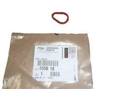 Dichtung Pompy Vacum Neues Original 4556.18 455618 Citroen Peugeot