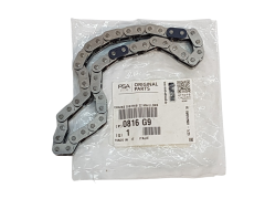 Steuerkette Citroen Peugeot 2.7 HDi 0816G9 Neues Original