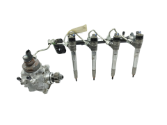 Kraftstoffpumpe und Einspritzdüsen 0445011500 0445110896 2.0 DCI Renault 18000km