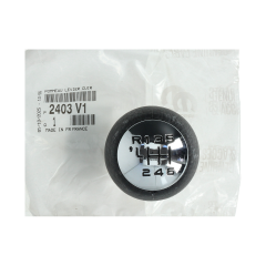 Schalthebel Original Citroen Peugeot C4 307 407 2403V1