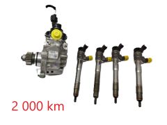 Kraftstoffpumpe und Einspritzdüsen 0445011500 0445110939 2.0 DCI Renault 2 000km