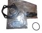 Dichtung Neues Original 144D19994R Renault